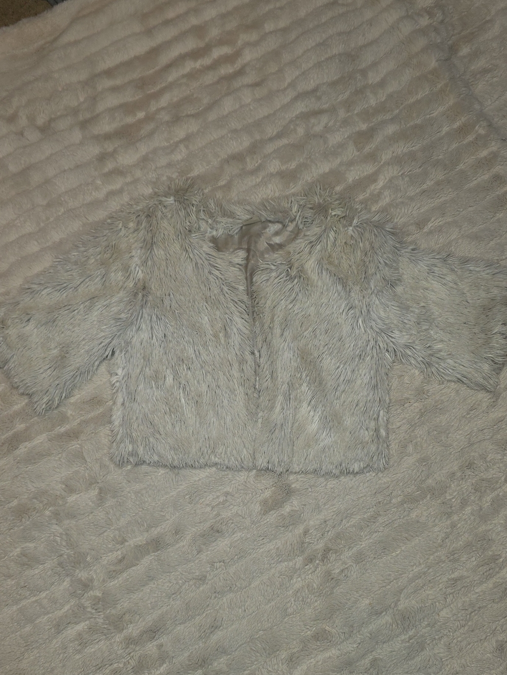 Vintage And Ratty Faux Fur Cropped Jacket in Light Gray - Jacket/Coat